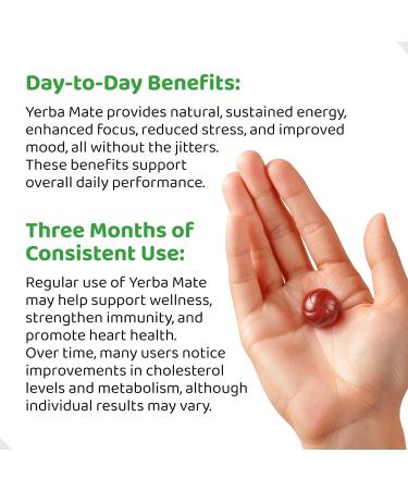 Yerba Mate Gummies - Quince Flavor | Vegan & Non-GMO | Boost Energy & Focus Naturally | Gluten-Free | 6 Count Pack - Buy Online on GoSupps.com