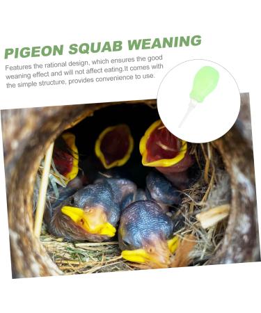 ibasenice Baby Accessories 1pc Pigeon Rehydration Device Ml Dropper for Liquids Baby Feeding Tools Cat Feeder Bird Weaning Tool Squab Weaning Feeder Pet Bird Weaner Pigeon Weaner Food Green 10x3cm - Buy Online on GoSupps.com