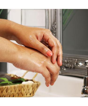 SBC Skincare Vanilla & Wild Chestnut Hand Wash - 500ml | Indulgent Vanilla Hand Wash For All The Family | Soothing And Moisturising Hand Soap | Vegan Friendly - Buy Online on GoSupps.com