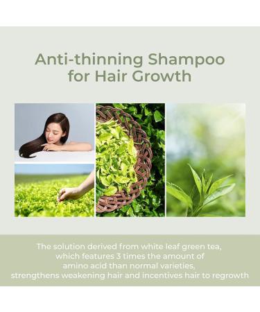 AMOS PROFESSIONAL Green Tea Scalp Essential Tonic 2.7 oz | Anti-Hair Loss Nourishment Treatment - Buy Online on GoSupps.com