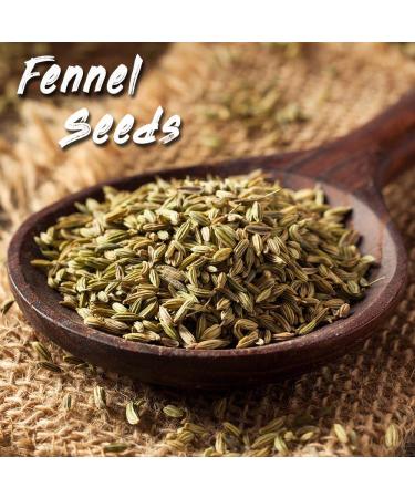 Spices Village 8 oz Fennel Seeds - Whole Spices for Cooking - Fresh Dried Fennel Seed for Tea - High Dietary Medicinal Herb - Kosher, Vegan, Gluten Free, Non GMO - Resealable Bulk Bag - Buy Online on GoSupps.com
