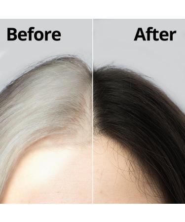 Daeng Gi Meo Ri Korean Herbal Hair Dye Cream Black - PPD-Free Gray Coverage & Hair Protection High-Keratin Formula - 5 Oz - Buy Online on GoSupps.com