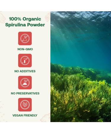 Quay Naturals Organic Spirulina Powder 8oz Non-GMO Gluten-Free Vegan Plant-Based Protein Iron-Rich Spirulina Powder for Smoothies - Buy Online on GoSupps.com