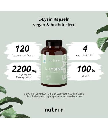 High Dose L-Lysine Capsules 2200mg - Vegan Amino Acid for Collagen & Connective Tissue - 120 Caps - Pure L-Lysine HCL - Laboratory Tested - Buy Online on GoSupps.com