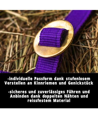 Halter for Warmblood Thoroughbred & Cold Blood Horses - Adjustable Safe Tearproof Stable & Pasture Halter for Shetland Pony (Purple) - Buy Online on GoSupps.com