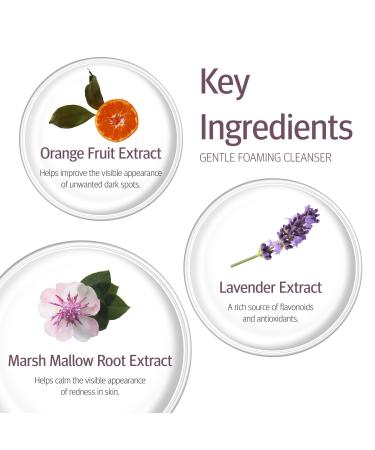 Epionce Gentle Foaming Cleanser - Face Wash & Makeup Remover for Normal to Combination Skin Hydrating Facial Cleanser Dermatologist Skincare - Buy Online on GoSupps.com