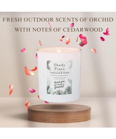 Shady Pines Candle - Thank You for Being a Friend | Cedarwood & Orchid | International Shipping Available - Buy Online on GoSupps.com