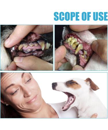 KOAHDE Pets Toothpaste Pets Teeth Cleaning Toothpaste Dogs Dental Care Dogs Toothpaste Toothpaste for Dogs & Cats Pets Oral Hygiene Toothpastes Helps Prevent Bad Breath & Combat Plaque Pets Toothpaste - Buy Online on GoSupps.com