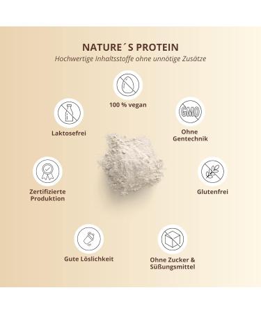 Buy Nature Protein Vanilla 500g 83.1% Natural Vegan Protein Powder Gluten-Free No Lactose or Sugar Plant-Based Protein Shake - Buy Online on GoSupps.com