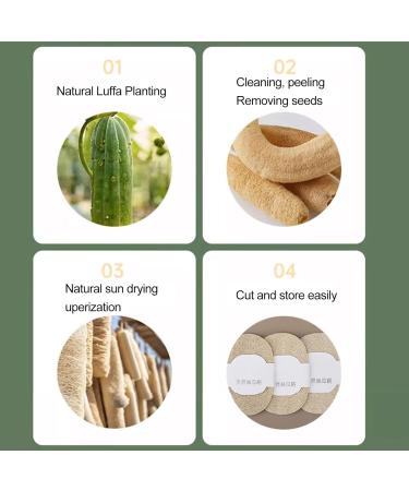 6Pcs Loofah Dish Sponges Kitchen Eco Scrub Scourer Natural Loofah Plant Odor-Free Biodegradable Dishwashing Sponge Natural for Kitchen Cleaning Ellipse - Buy Online on GoSupps.com