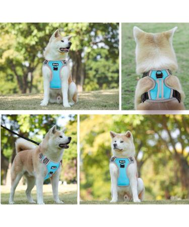 Eyin Adjustable Dog Harness for Small Dogs | Breathable Reflective Padded | Daily Training | Blue (S) - Fits Neck 32-46cm Chest 35-63cm - Buy Online on GoSupps.com