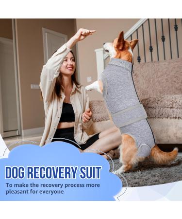 Lukovee Dog Surgery Recovery Suit Dog Cone E-Collar Alternative After Surgery with Zipper for Female Male Dog Recovery Shirt Dog Abdominal Wounds Bandages Preventing Licking Spay Suit (GY M) Medium Gray - Buy Online on GoSupps.com