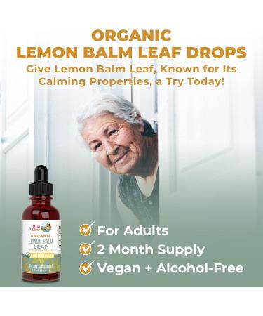 MaryRuth Organics Lemon Balm Leaf - 1 Fl Oz. - Buy Online on GoSupps.com