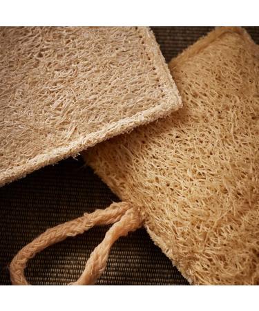 Buy Io Nova Luffa Rush Sponges Set of 4 - Eco-Friendly Bath and Kitchen Cleaning Solutions - Buy Online on GoSupps.com