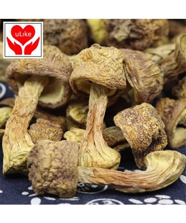 Dried Mushroom Agaricus Blazei (1000 Grams) - Buy Online on GoSupps.com