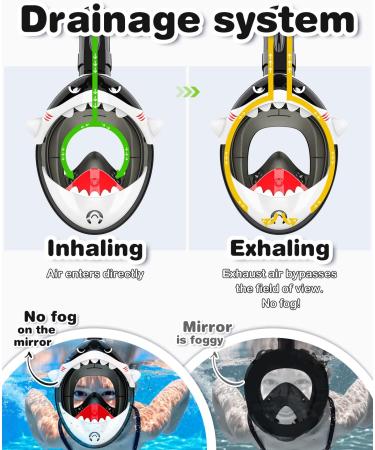 Kkdi Kids Full Face Snorkel Mask for Ages 4-16 | Foldable Dry Top Snorkel Set - Green Frog/Black Shark | Anti-Leak, Anti-Fog, 180 HD View | Swimming Pool Toy with Portable Bag - Buy Online on GoSupps.com