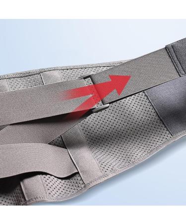 Back Brace with 3 Removable Lumbar Pads - Men's & Women's Fitness Waist Support Breathable Lower Back Pain Relief Gray X-Large - Buy Online on GoSupps.com