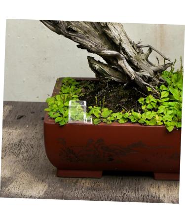 Happyyami Pet Water Feeder Insect Water Feeder Ants Feeding Bowl Insect Feeder Water Bowl for Ants Plastic - Buy Online on GoSupps.com