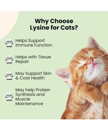 Lysine for Cats - L-Lysine for Cats - May Help with Respiratory Health Sneezing Runny Nose & More - Cat Cold Relief - Cat Sneezing Treatment - 1 fl oz - Buy Online on GoSupps.com