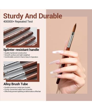 Modelones Acrylic Nail Brush Size 8 - Pure Kolinsky Hair Bristles - Professional Manicure Pedicure Tool for DIY Home Salon - Buy Online on GoSupps.com