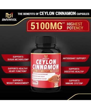 Ceylon Cinnamon Capsules 5100mg - Antioxidant Support - 120 Capsules with Berberine, Apple Cider Vinegar, Turmeric & Ginseng - Buy Online on GoSupps.com