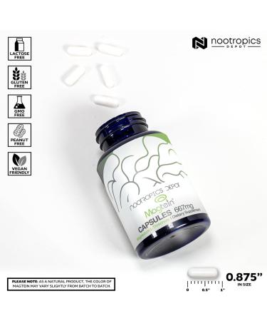 Nootropics Depot Magtein Magnesium L-Threonate Capsules | 540 Count | Mineral Supplement | Natural | Supports Mitochondrial Function | Boosts Energy and Cognitive Function 540 Count (Pack of 1) - Buy Online on GoSupps.com