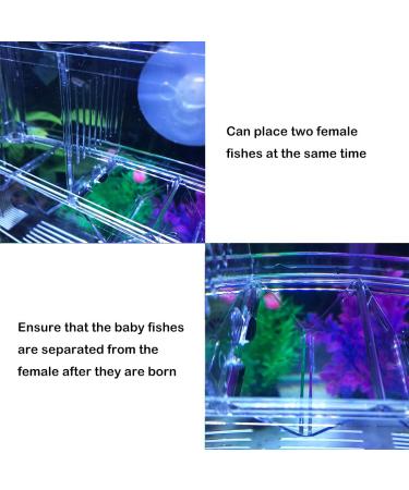 J-star Aquarium Breeder Box - Baby Fish Separator & Incubator Divider - Buy Online on GoSupps.com
