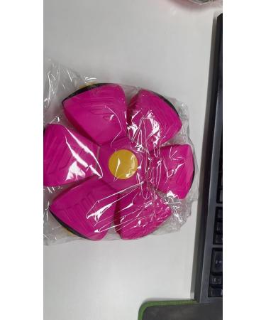 Buy Interactive Dog Toys - Frisbee Ball Flying Saucer & Super Ball for Training | Best Pet Toys for Dogs - Buy Online on GoSupps.com