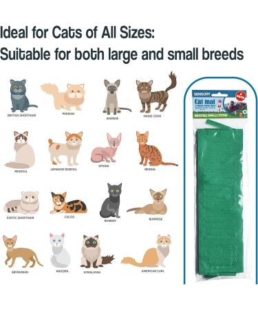 CATMAT - Cat Paper Grass Tissue Paper Cat Mat Cat Play Mat Cat Play Grass Paper Cat Grass Fake Cat Toy Grass Cat Mat Tissue Paper Grass for Cats Cat Grass for Indoor Cats - Green (Pack of 2) - Buy Online on GoSupps.com