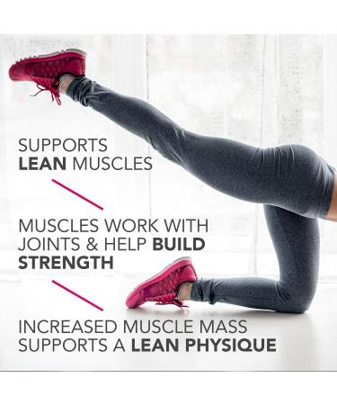 Pure Protein Dessert Variety Pack - 18 Count Protein Bars (1.76 oz Each) - Buy Online on GoSupps.com