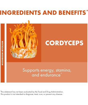 Host Defense Cordyceps Extract - Immune & Energy Support Supplement - Kidney Health Supplement with Cordyceps - Fitness Support to Aid Oxygen Uptake - 2 fl oz (60 Servings)* 2 Fl Oz (Pack of 1) - Buy Online on GoSupps.com