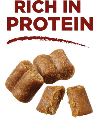Purina ONE True Instinct Bites Natural Dog Treats Salmon - 198 g Pouch (1 Pack) 198 g (Pack of 1) - Buy Online on GoSupps.com