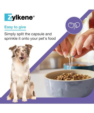 Zylkenee 450mg - 20 Capsules | Natural Stress Relief Supplement for Pets | Fast International Shipping - Buy Online on GoSupps.com