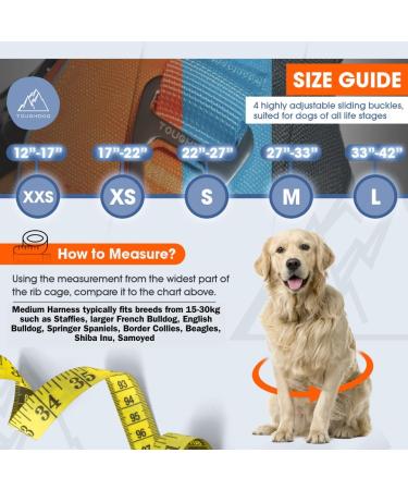 TOUGHDOG Explorer Dog Harness | No Pull, Adjustable, Padded, Durable | Reflective, Easy On/Off | Medium Storm Grey - Buy Online on GoSupps.com