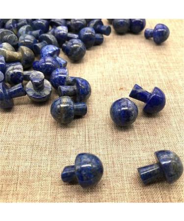 Crystal Natural Crystal Rock Stone Blue Lapis Lazuli Mushroom for Christmas Decoration Gifts Can be Used for ningxiao Approx 2cm 2pcs - Buy Online on GoSupps.com