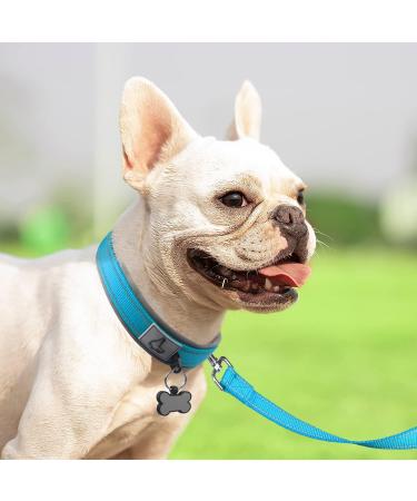 Joytale Baby Blue Dog Collar - Softly Padded Neoprene Nylon Reflective Collar for Small Dogs | 1 Pack - Buy Online on GoSupps.com