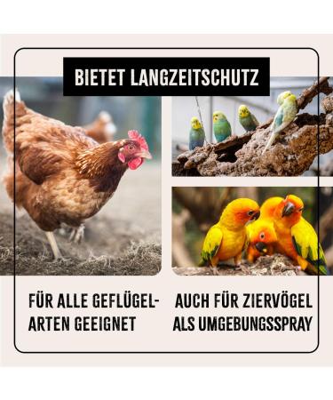 AniForte Mite Spray for Chicken & Poultry 500ml - Natural and Effective Treatment for Mites and Parasites - Buy Online on GoSupps.com