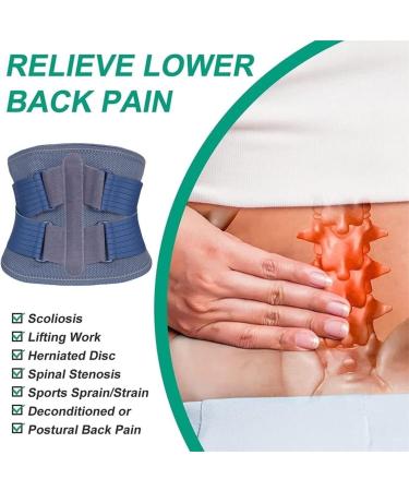 Back Brace Lumbar Support Back Brace Adjustable Lumbar Support Belt Keeps Posture Corrector Waist Trainer Waist Belt(Large) Large Blue - Buy Online on GoSupps.com