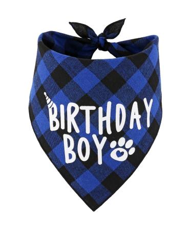 Dog Birthday Boy Bandana