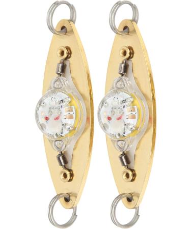 2Pcs Fishing LED Lure - Eye Shape Artificial Flashing Light for Underwater Fishing | International Shipping - Buy Online on GoSupps.com