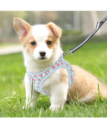Heele Dog Harness for Small & Medium Dogs - Adjustable Reflective Soft Mesh Puppy Harness in Flower Cyan Breathable & Comfortable Design - Buy Online on GoSupps.com
