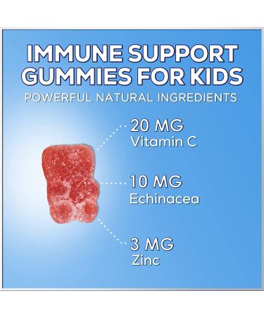 Echinacea Plus Vitamin C & Zinc Gummies for Kids - 90 Count | Nature's Nutrition - Buy Online on GoSupps.com