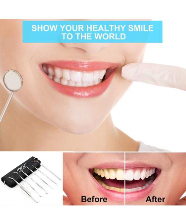 6 Pack Dental Tools Set - Professional Stainless Steel Oral Care Kit with Case | Tooth Scraper, Plaque & Tartar Remover - Buy Online on GoSupps.com