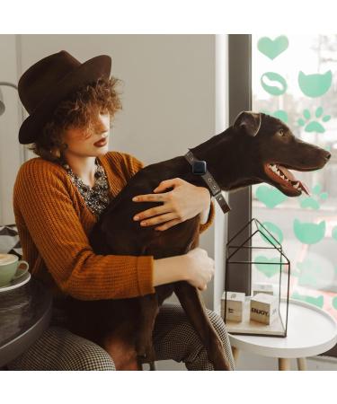 Cloudvalley Airtag Dog Collar - IPX8 Waterproof GPS Tracker for Apple Airtags - Lightweight Easy Install Anti-Loss Cover for Dogs & Cats - Buy Online on GoSupps.com
