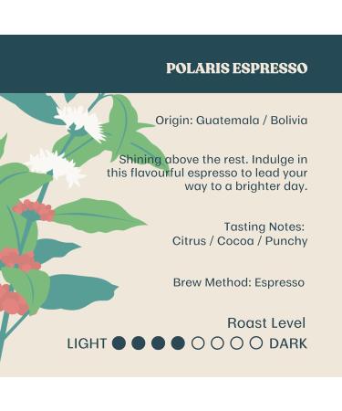 Equator Coffee Roasters Polaris Espresso Whole Coffee Bean Fresh Roasted Coffee Medium Roasted Coffee Beans Bold and Punchy Espresso Blend with Citrus and Cocoa Notes Polaris Espresso 908 g (Pack of 1) - Buy Online on GoSupps.com