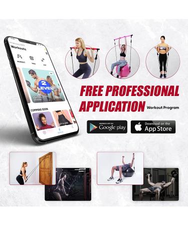 65cm Yoga Ball Chair for Pregnancy, Physical Therapy & Office - Stability Ball with Stainless Steel Pilates Bar - Black - Buy Online on GoSupps.com