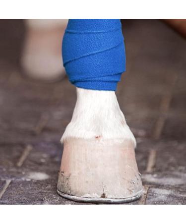 Pack of 12 Vet Wraps - Gauze Rolls - Cohesive Bandage - Bandage Wrap for Animals Assorted Colours 3 inches x 66.9 inches - Buy Online on GoSupps.com