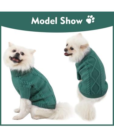 Warm Peacock Green Dog Sweater for Small Dogs - Winter Turtleneck Knit Sweater | Soft Stylish Pet Clothing - Buy Online on GoSupps.com