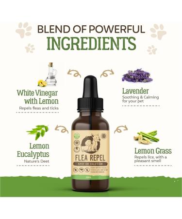 Flea and Tick Treatment for Dogs | All-Natural Formula | Easy Spot-On Application - Buy Online on GoSupps.com