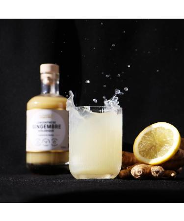 Organic Ginger Concentrate WITHOUT ADDED SUGARS - 500ml made in France - High quality ginger juice - Buy Online on GoSupps.com
